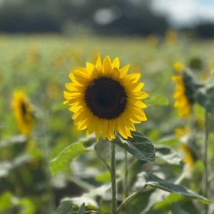 Meet your Posher, Mar